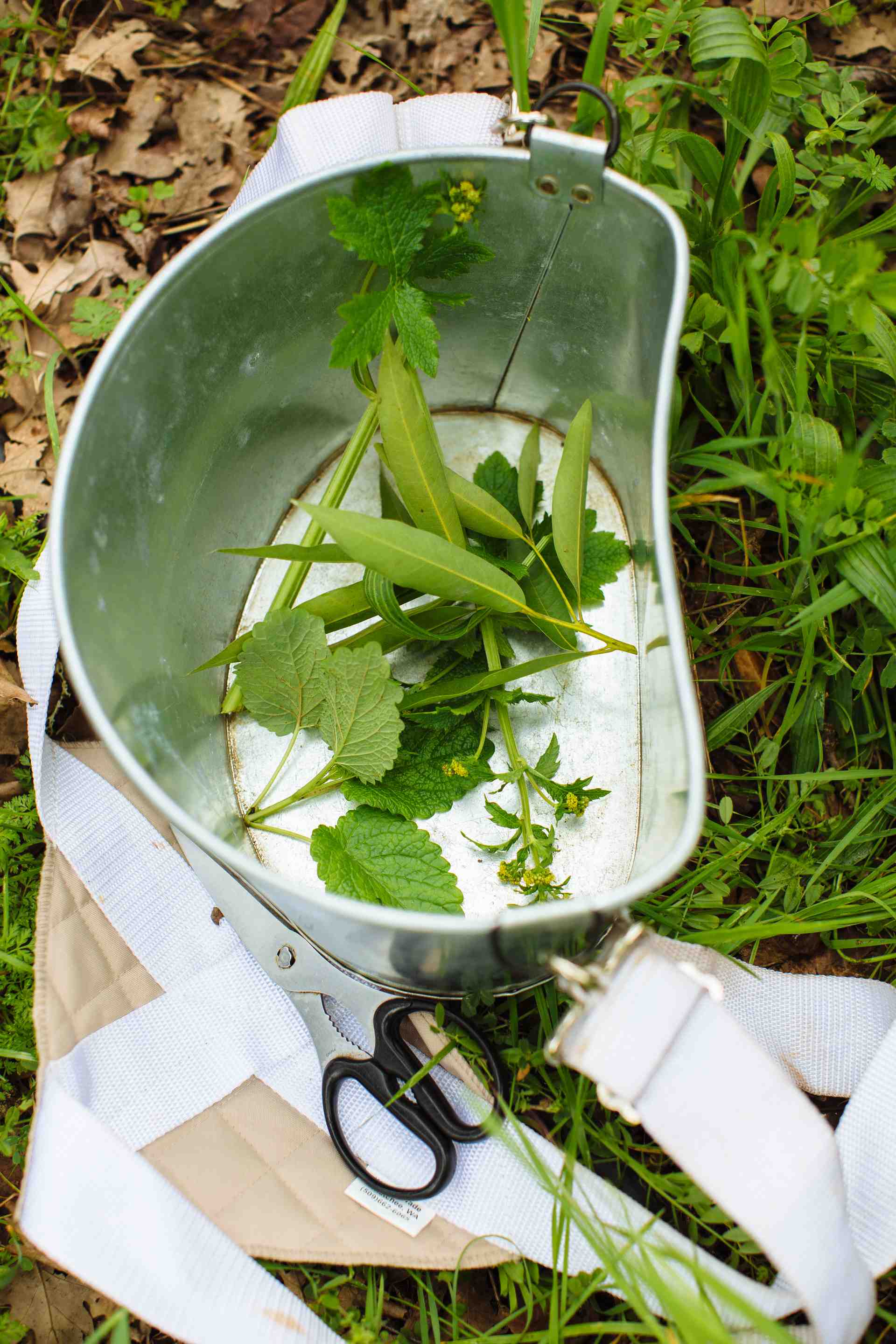 Michael B. Woolsey Photography