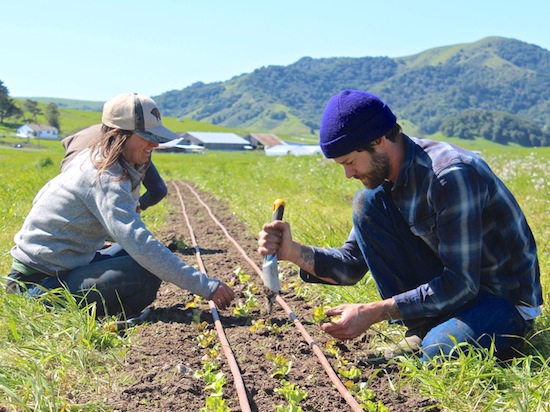 Photo Credit Nat& Cody Photography