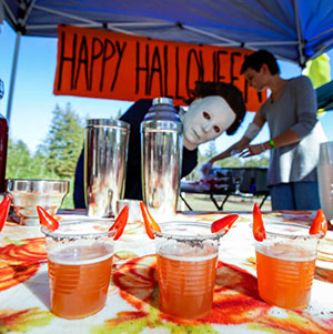 Wizards of Elixer in Petaluma