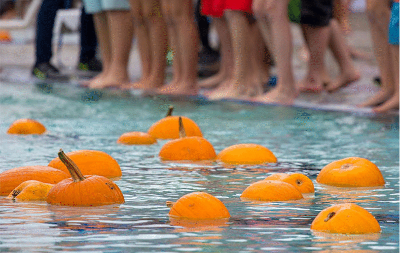 Pumkins in the water