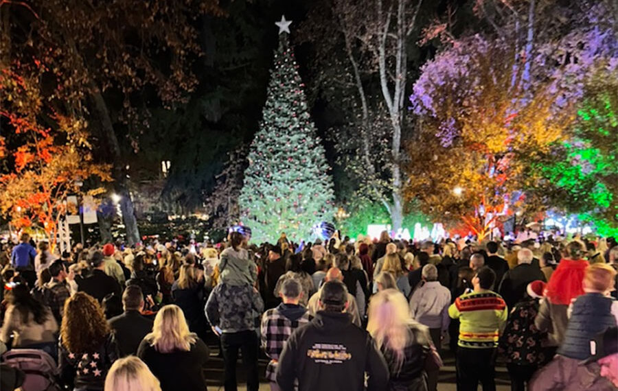 Merry Healdsburg & Tree Lighting Celebration